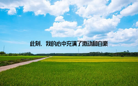 此刻, 我的心中充满了激动和自豪