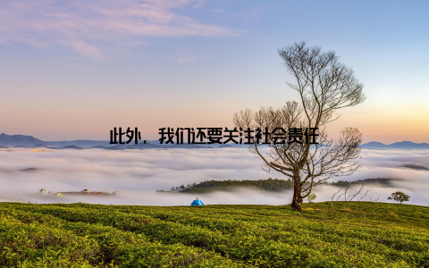 此外, 我们还要关注社会责任