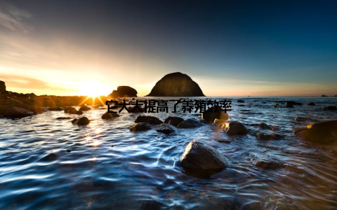 它大大提高了养殖效率