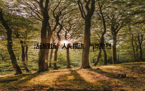 活动现场, 人头攒动, 气氛热烈