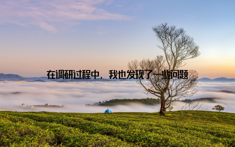 在调研过程中, 我也发现了一些问题
