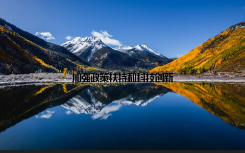 加强政策扶持和科技创新