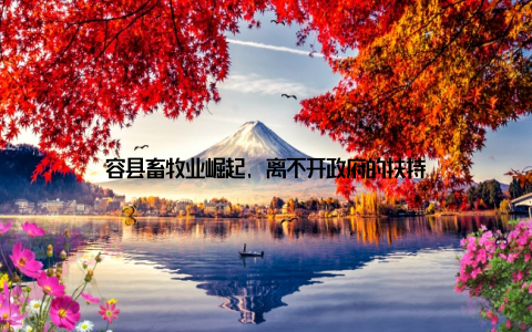 容县畜牧业崛起, 离不开政府的扶持