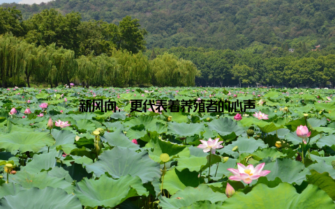 新风向, 更代表着养殖者的心声