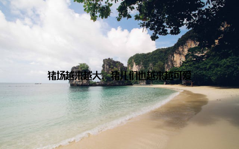 猪场越来越大, 猪儿们也越来越可爱