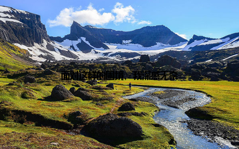 面对这样的困境, 我深感无奈