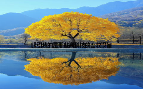 吸引我的是那些高科技的畜牧设备