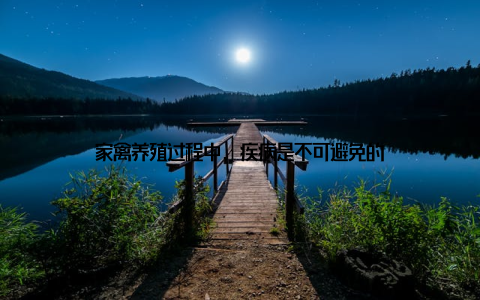 家禽养殖过程中, 疾病是不可避免的